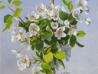 SOPHIE ANDERSON - Blossom I