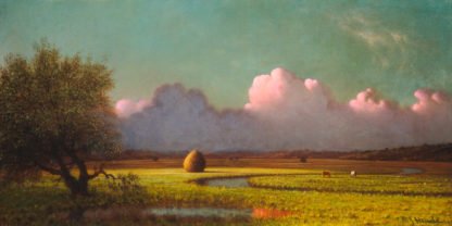 MARTIN JOHNSON HEADE - Sunlight and Shadow: The Newbury Marshes