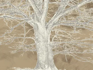ALESSIO APRILE - White Oak