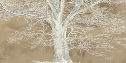 ALESSIO APRILE - White Oak