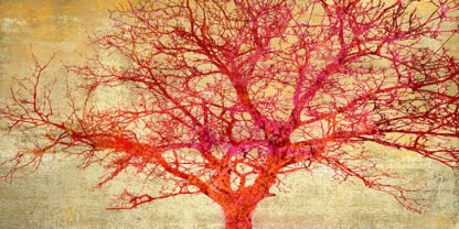 ALESSIO APRILE - Coral Tree