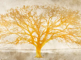 ALESSIO APRILE - Shimmering Tree