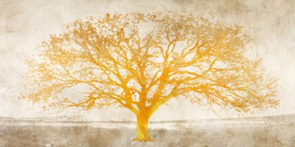 ALESSIO APRILE - Shimmering Tree