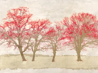 ALESSIO APRILE - A Crimson Tale