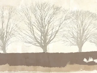 ALESSIO APRILE - Tree Lines Neutral