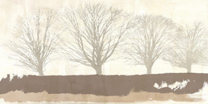 ALESSIO APRILE - Tree Lines Neutral