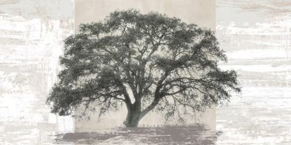 ALESSIO APRILE - Ash Tree Panel