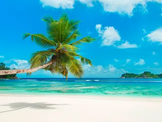 ANONYMOUS - Tropical Beach, Seychelles
