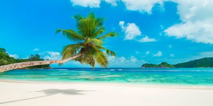 ANONYMOUS - Tropical Beach, Seychelles