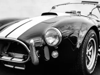 GASOLINE IMAGES - Black Cobra