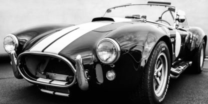 GASOLINE IMAGES - Black Cobra