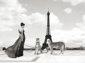 JULIAN LAUREN - Trocadero View
