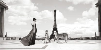 JULIAN LAUREN - Trocadero View