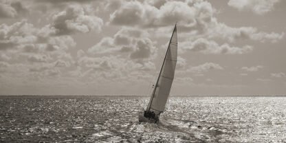 PANGEA IMAGES - Sailing (detail)