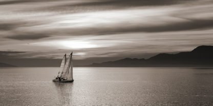 PANGEA IMAGES - Set Sails (detail)