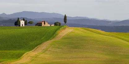 PANGEA IMAGES - Val d'Orcia Siena,Tuscany (detail)