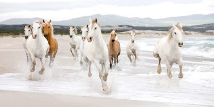 ZERO CREATIVE STUDIO - Horses on the Beach (detail)