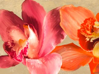 ANDREA ANTINORI - Two Orchids