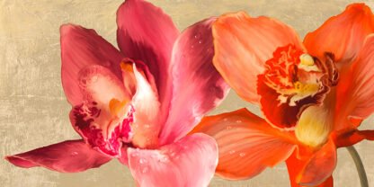 ANDREA ANTINORI - Two Orchids