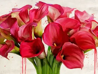 ALEX VINCI - Calla Abstraction