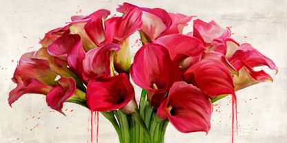 ALEX VINCI - Calla Abstraction