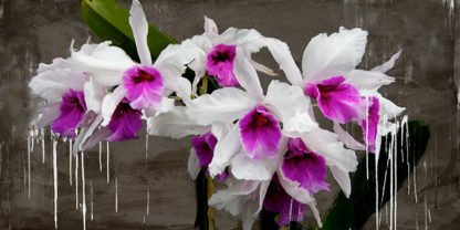 ALEX VINCI - Orchid Blackboard