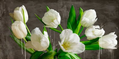 ALEX VINCI - Tulip Blackboard