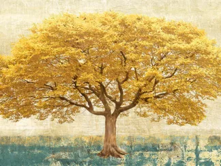LEONARDO BACCI - Gilded Oak