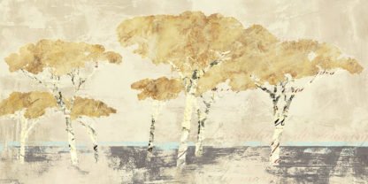 LEONARDO BACCI - Antibes