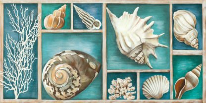 TED BROOME - Collection of Memories