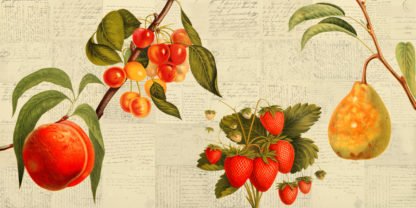 REMY DELLAL - Fruits de Saison