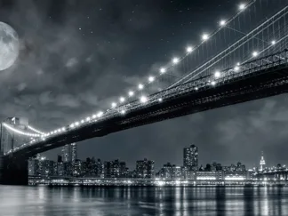 JANIS LACIS - Brooklyn Bridge at Night, New York