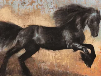 DARIO MOSCHETTA - Black Stallion