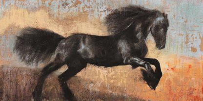 DARIO MOSCHETTA - Black Stallion