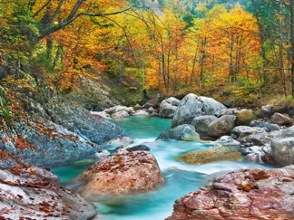 FRANK KRAHMER - Mountain brook and rocks, Carinthia, Austria