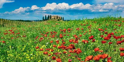 FRANK KRAHMER - Farm House with Cypresses and Poppies, Tuscany, Italy