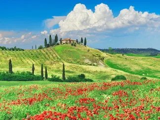 FRANK KRAHMER - Farmhouse with Cypresses and Poppies, Val d'Orcia, Tuscany