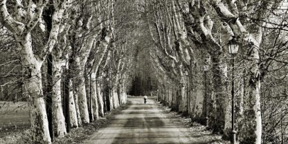 FULVIO FERRUA - Come le Foglie