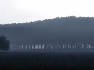 FULVIO FERRUA - Sinfonia d'Autunno