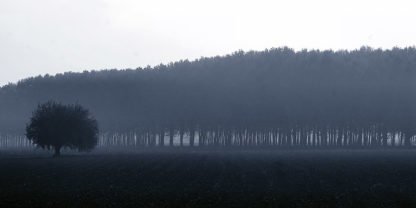 FULVIO FERRUA - Sinfonia d'Autunno