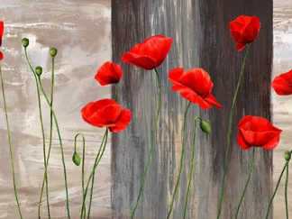 JENNY THOMLINSON - Country Poppies