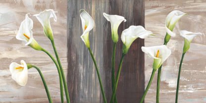 JENNY THOMLINSON - Country Callas