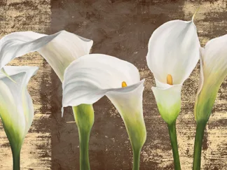 JENNY THOMLINSON - Callas on Gold (mocca variation)