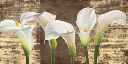 JENNY THOMLINSON - Callas on Gold (mocca variation)