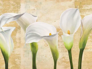 JENNY THOMLINSON - Callas on Gold (neutral variation)