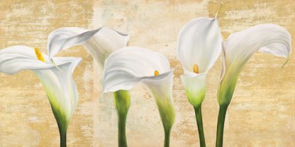 JENNY THOMLINSON - Callas on Gold (neutral variation)