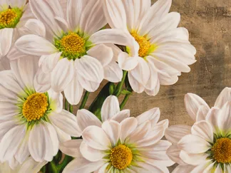 JENNY THOMLINSON - Daisies in the Moonlight
