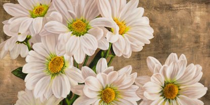 JENNY THOMLINSON - Daisies in the Moonlight