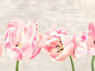 JENNY THOMLINSON - Classic Tulips