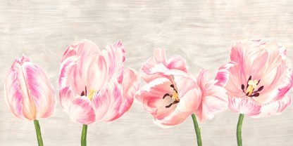 JENNY THOMLINSON - Classic Tulips